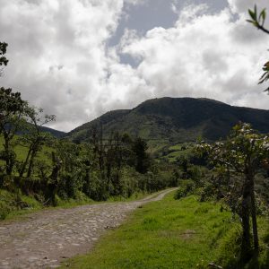 DSC09818